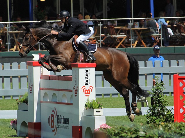 更多有志于 更多有志于